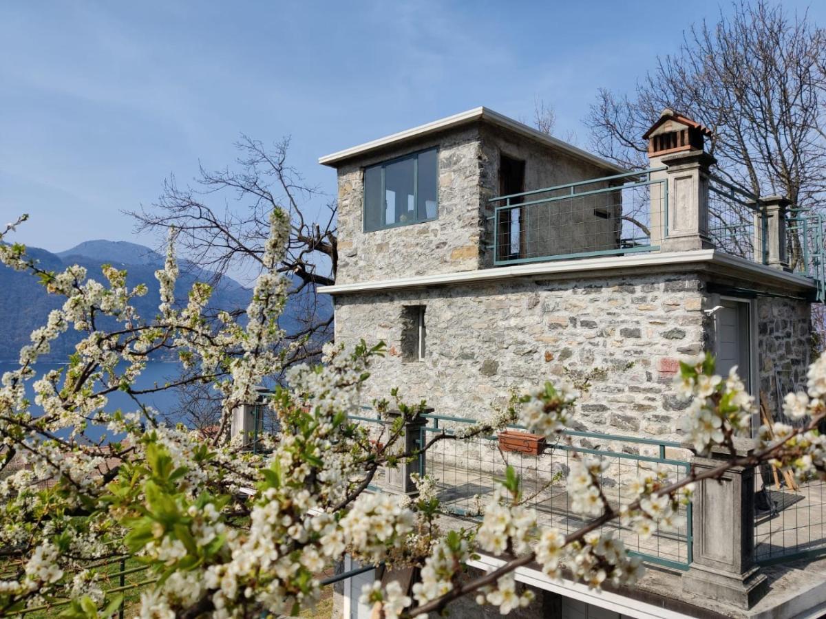 La Casetta Nel Bosco - Hot Tube And Sauna Lierna Exterior photo
